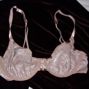Elegant Glittery Bra in Silver and Pink